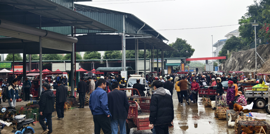 1770993983469577.jpg 微信图片_20260213224534_1734_4.jpg